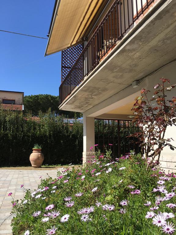 La Casa Di Nila Apartment Pisa Exterior photo